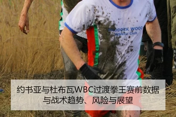 约书亚与杜布瓦WBC过渡拳王赛前数据与战术趋势、风险与展望